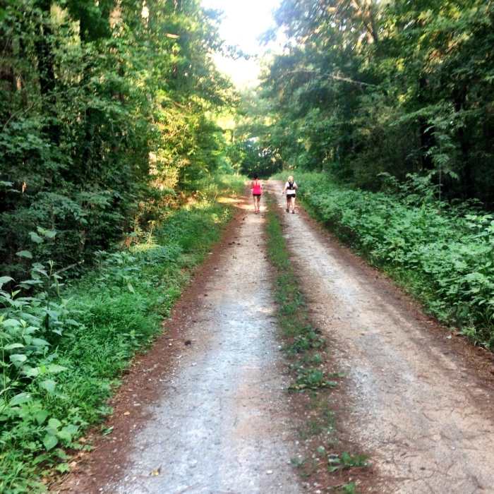 Along the Swamp Loop. Near Blackwell Swamp Loop