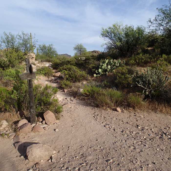 Near Second Water and Hackberry Spring Loop