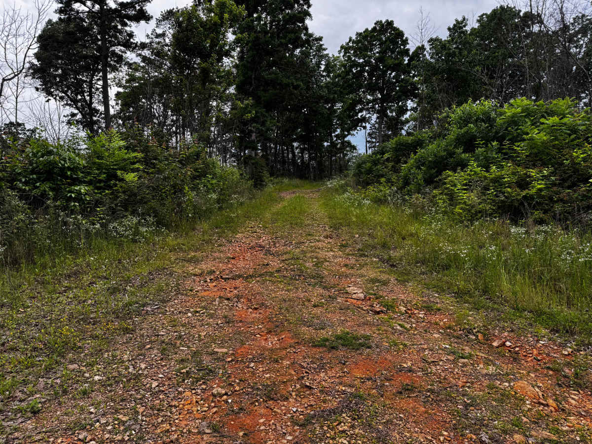 Hooper Hollow trail photo
