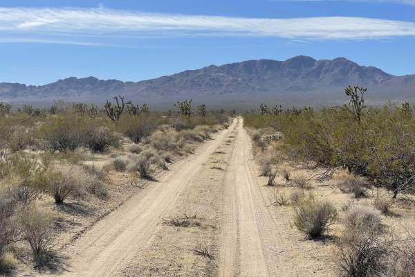 Ivanpah Cima Road