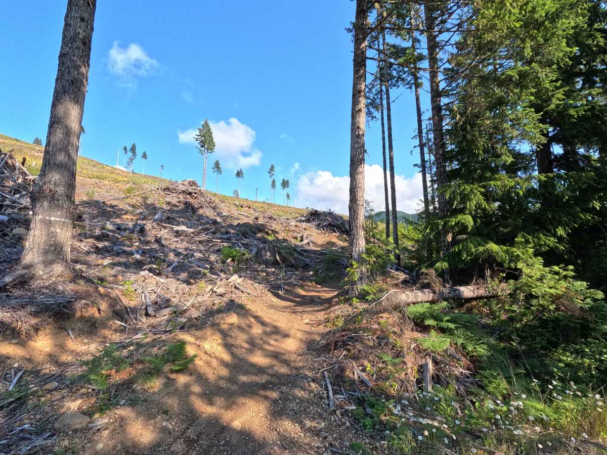 West Sunny Side trail photo