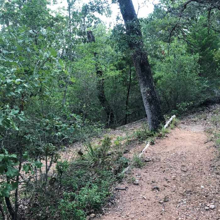 Near Ridge Trail