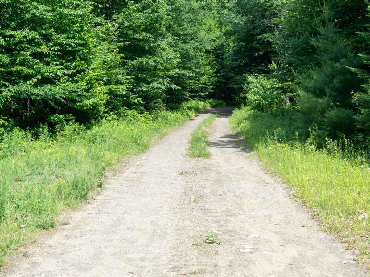 Deer Pond Road photo 2