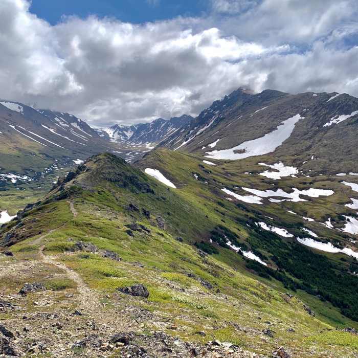 Near Near Point Near Near Point