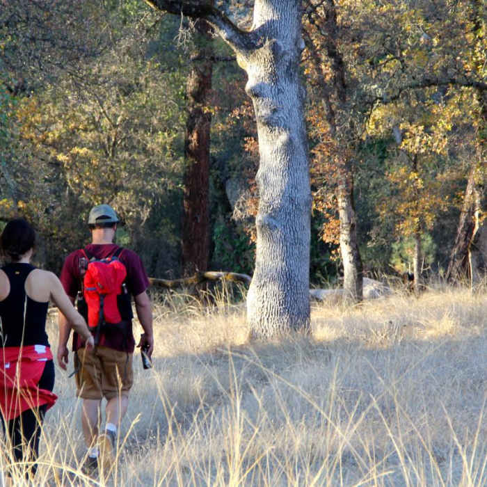 Near Point Defiance Loop Trail