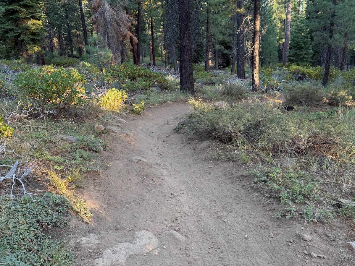Rise and Shine (Lower) photo 5