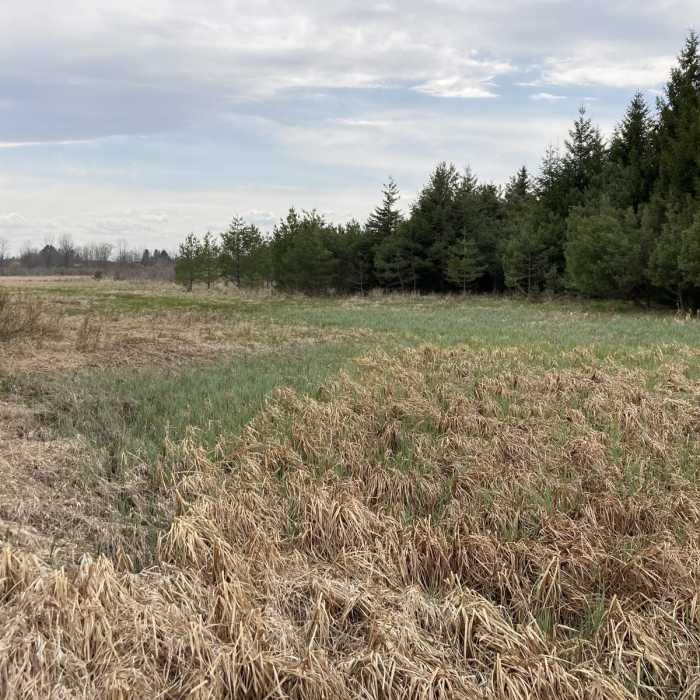 Near Ancient Shores Trail Near Ancient Shores Trail