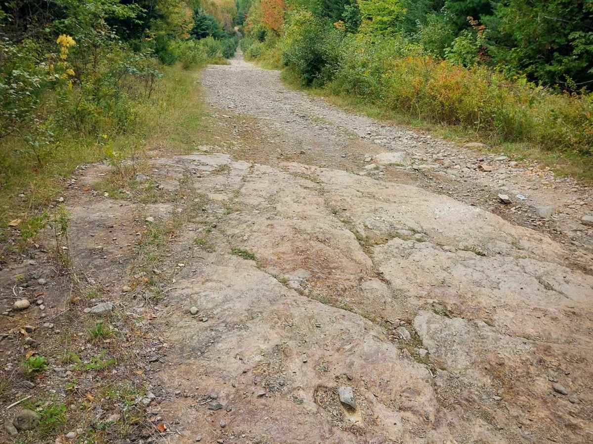Gravel Island Road trail photo