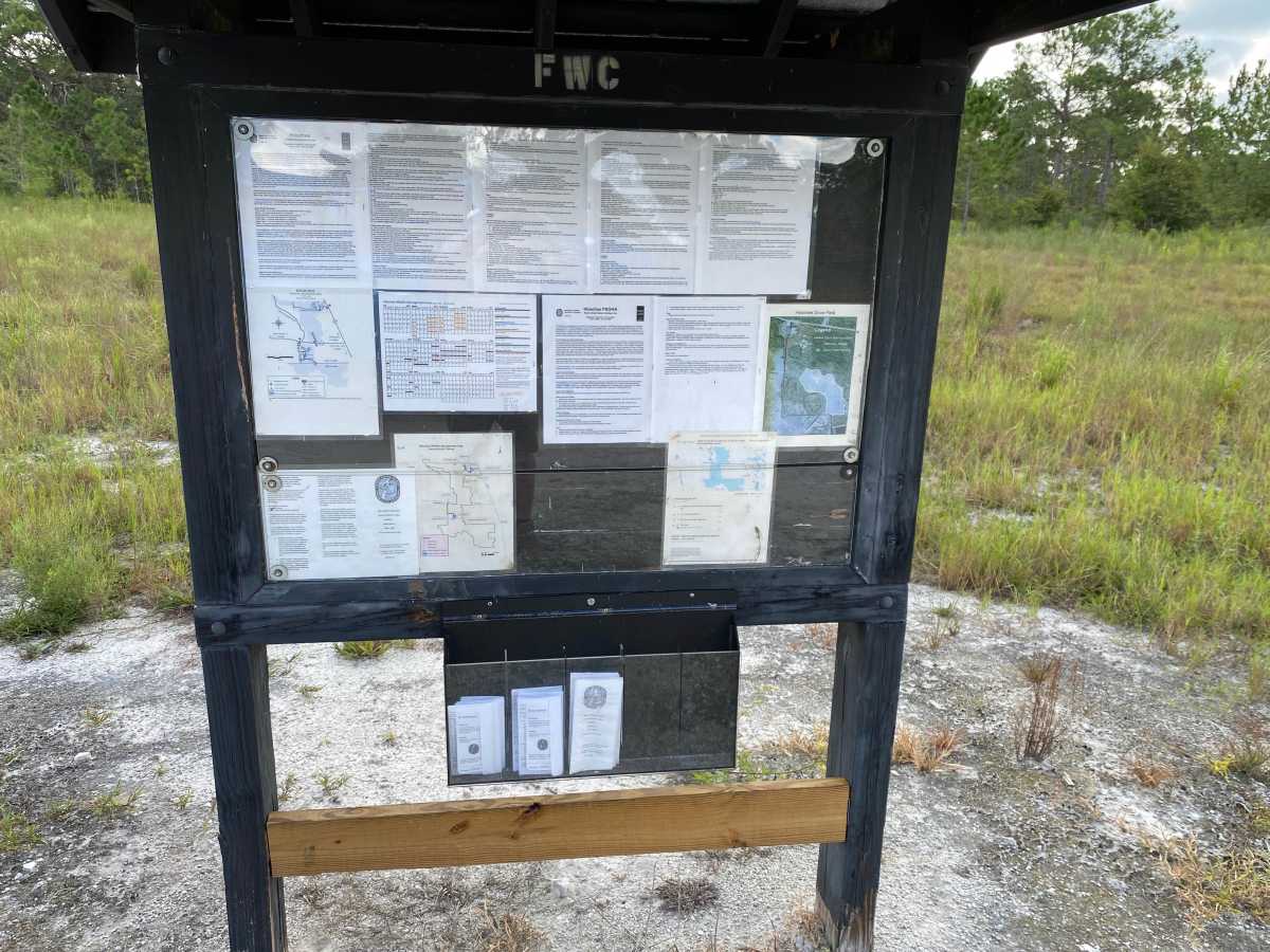 Lake Road photo 5