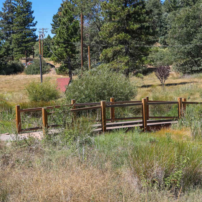 Near Northwoods Trail