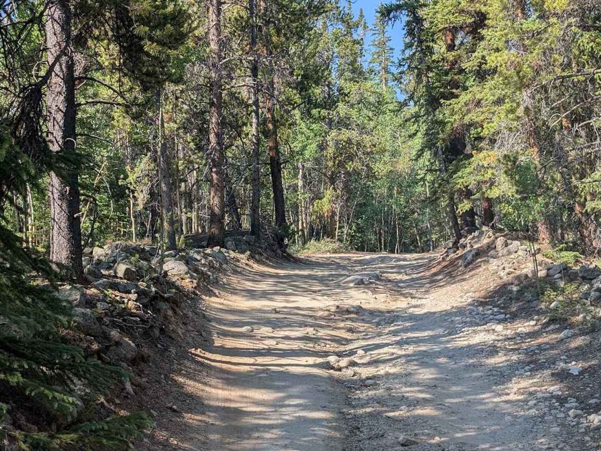 South Fork Lake Creek Road photo 3