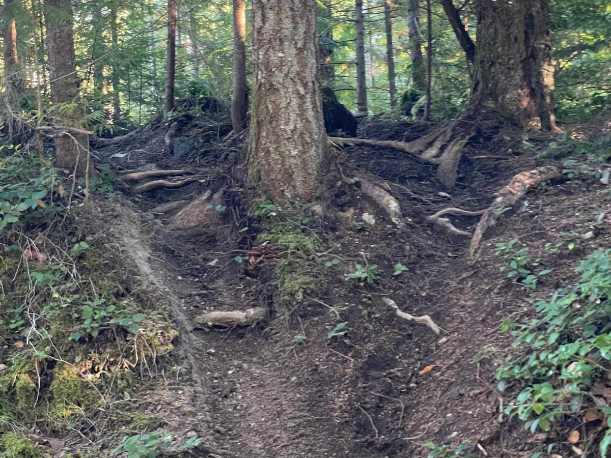 Special Order trail photo