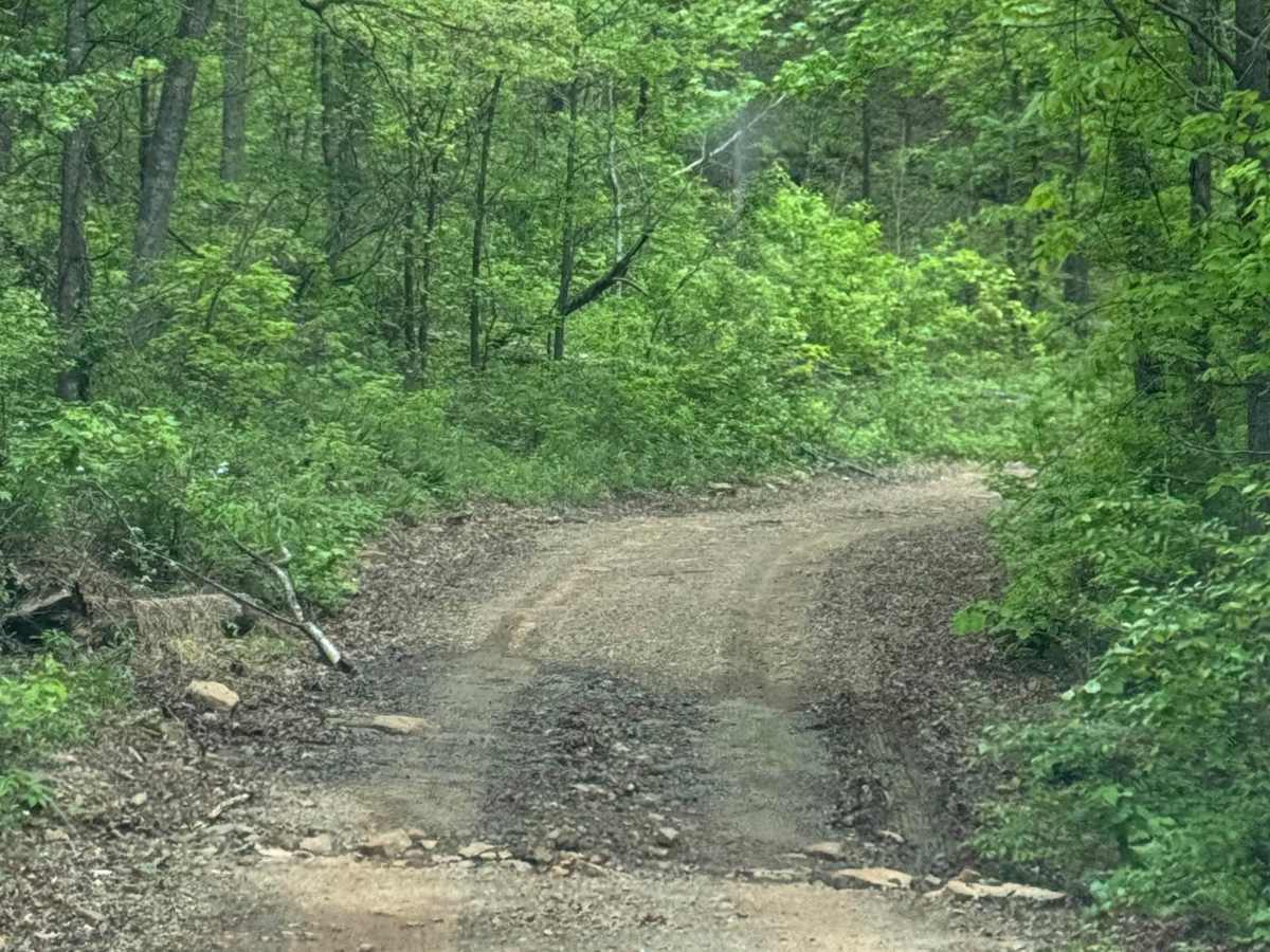 Sulphur Road photo 5