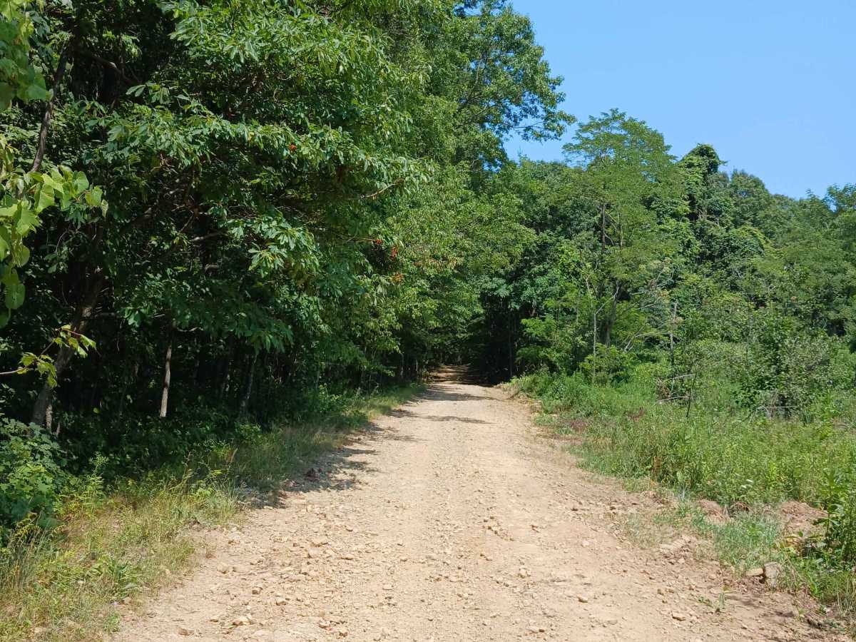 Short Lane - Rock Run Recreation Area photo 4