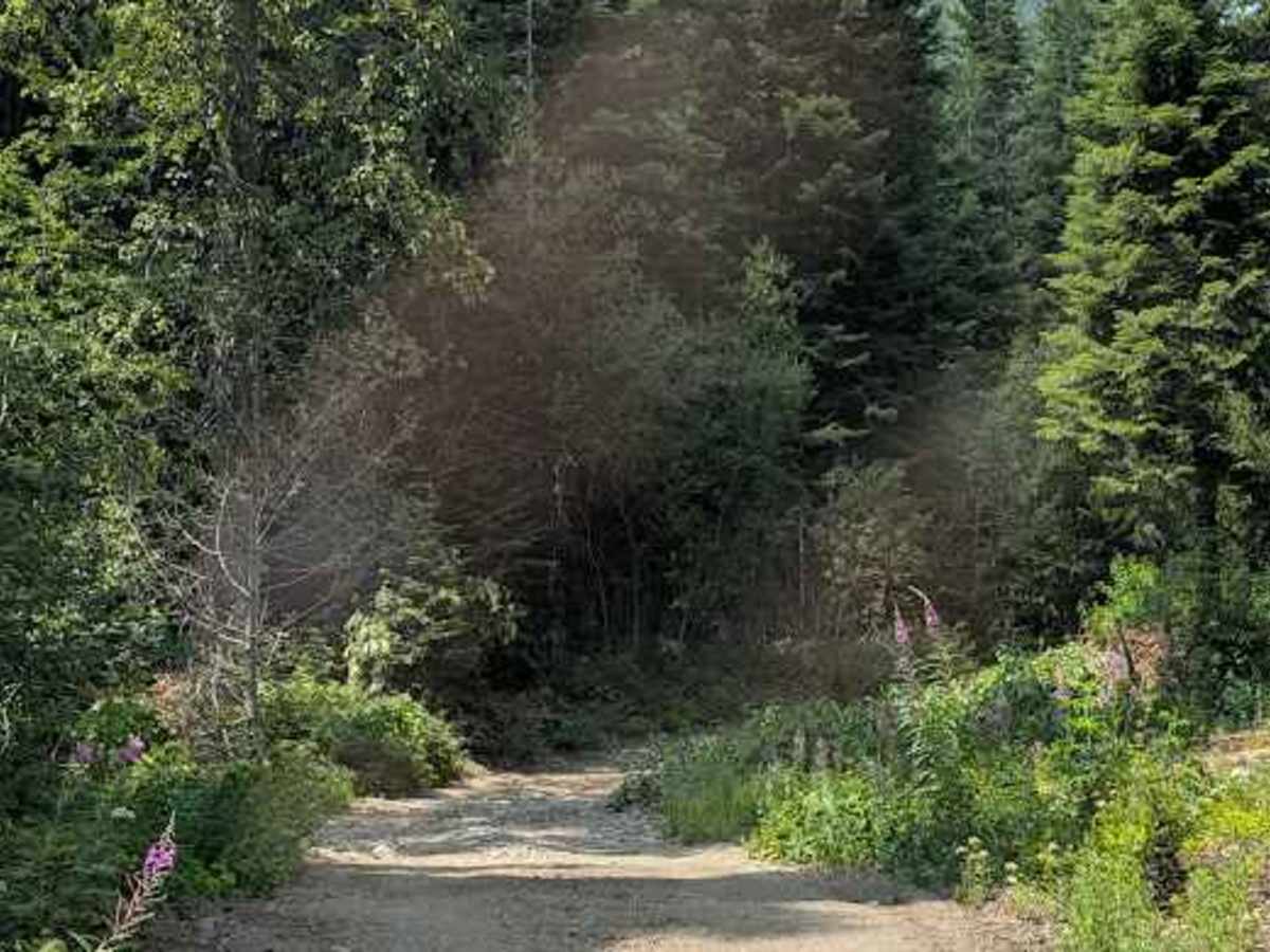Iron Creek - FS 9714  photo 6