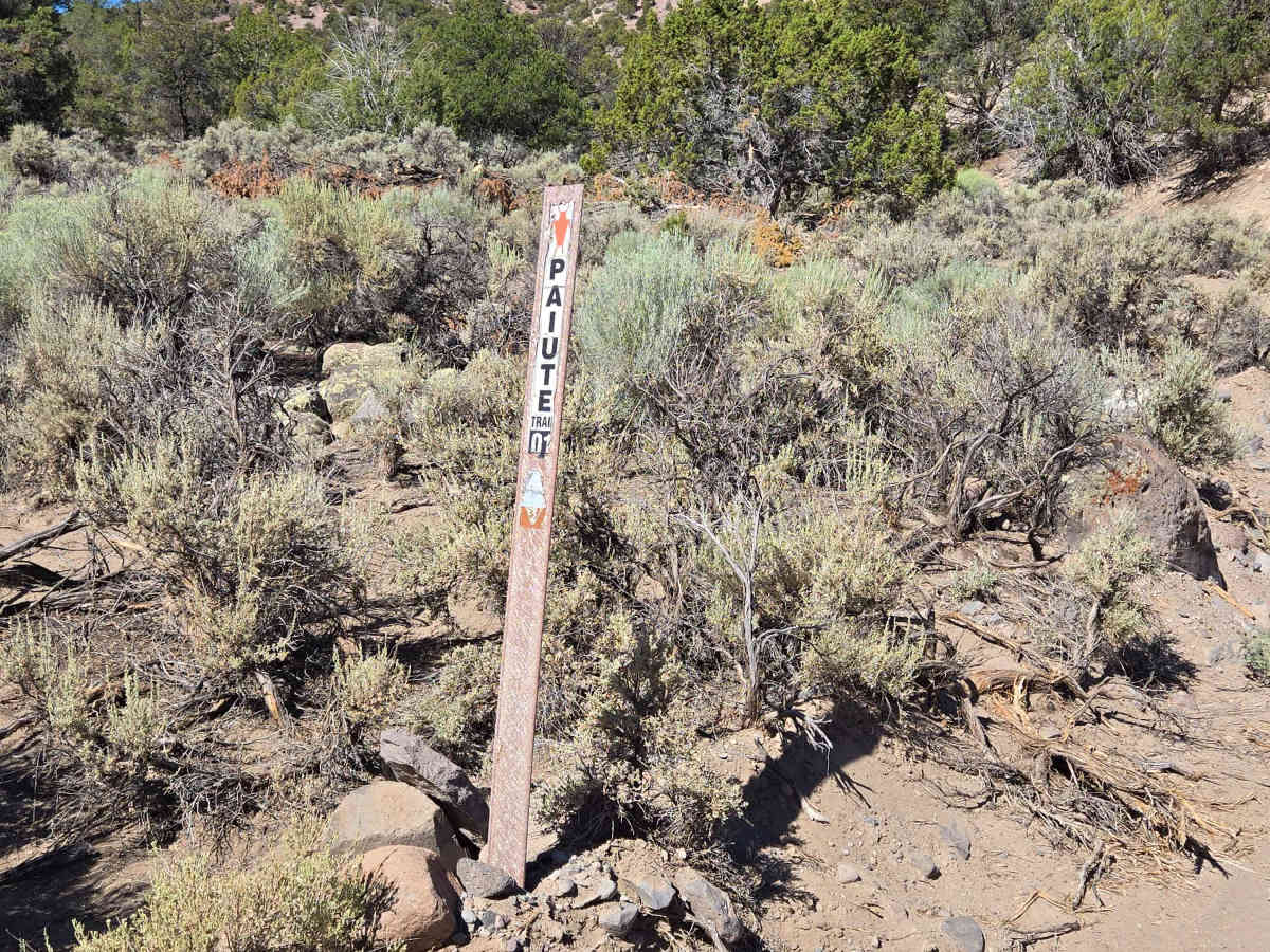 Kingston Canyon (Paiute 1 Trail) photo 6