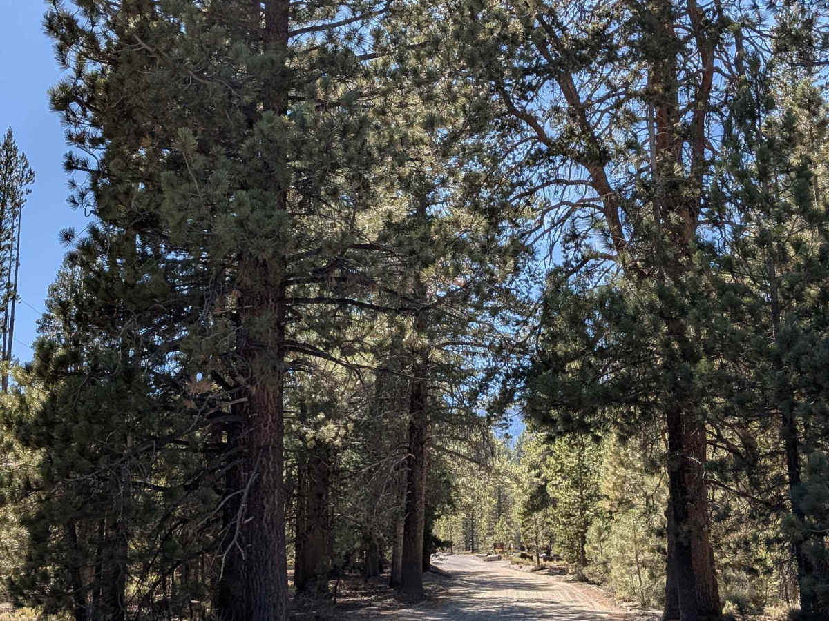 Glass Creek FS 2S49 photo 2