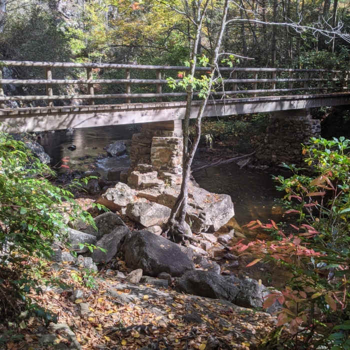 Near Laurel Falls Out and Back from Dennis Cove