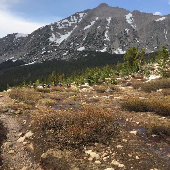 Near Kings-Kern Divide Loop