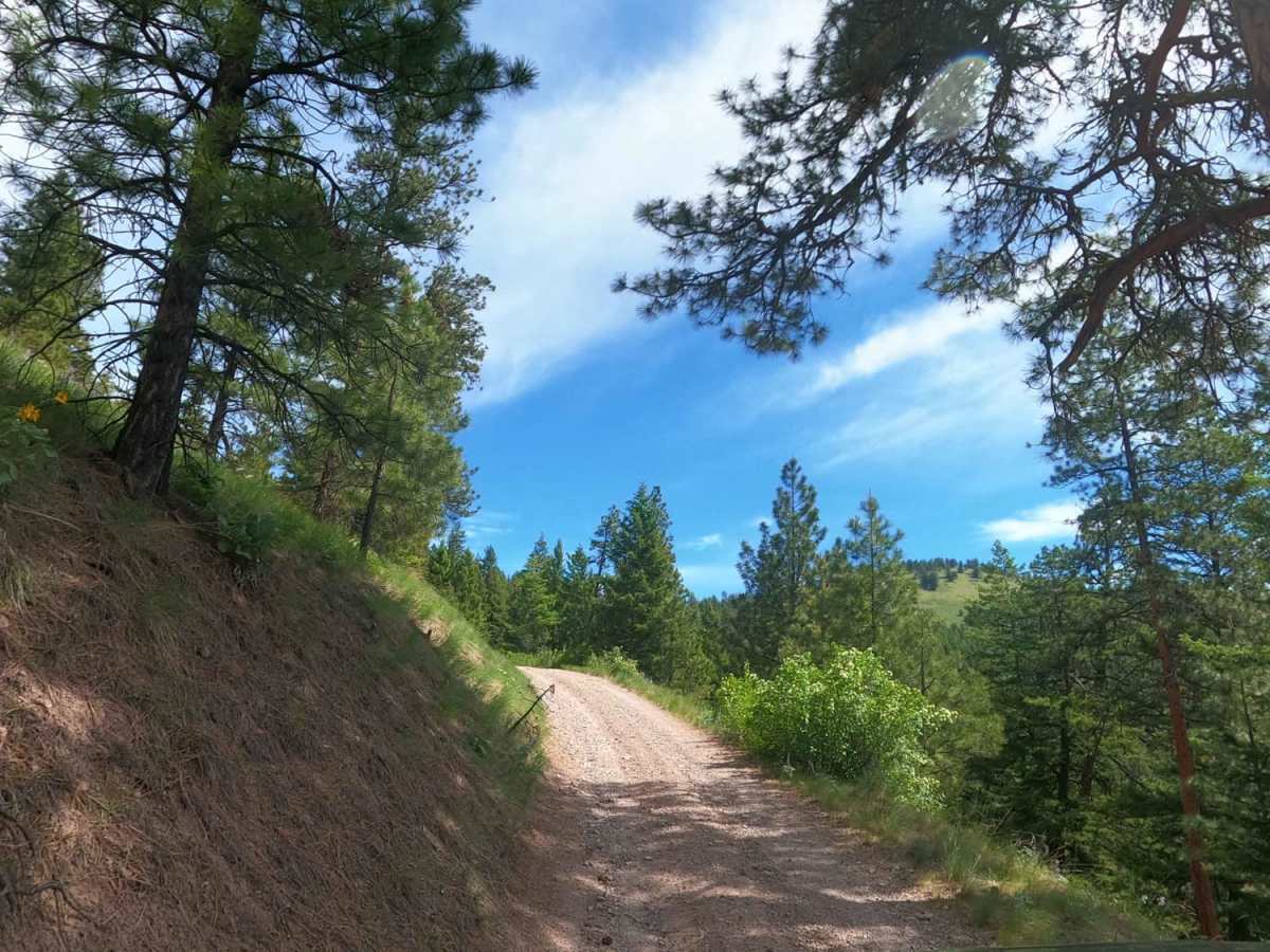 Albert Lothrop Rd 5563 photo 2