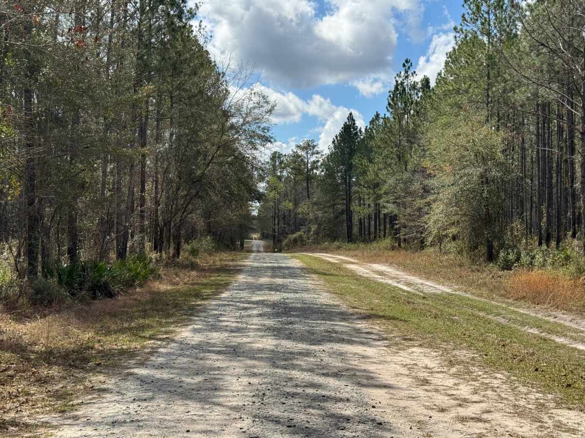 Hinson Road trail photo