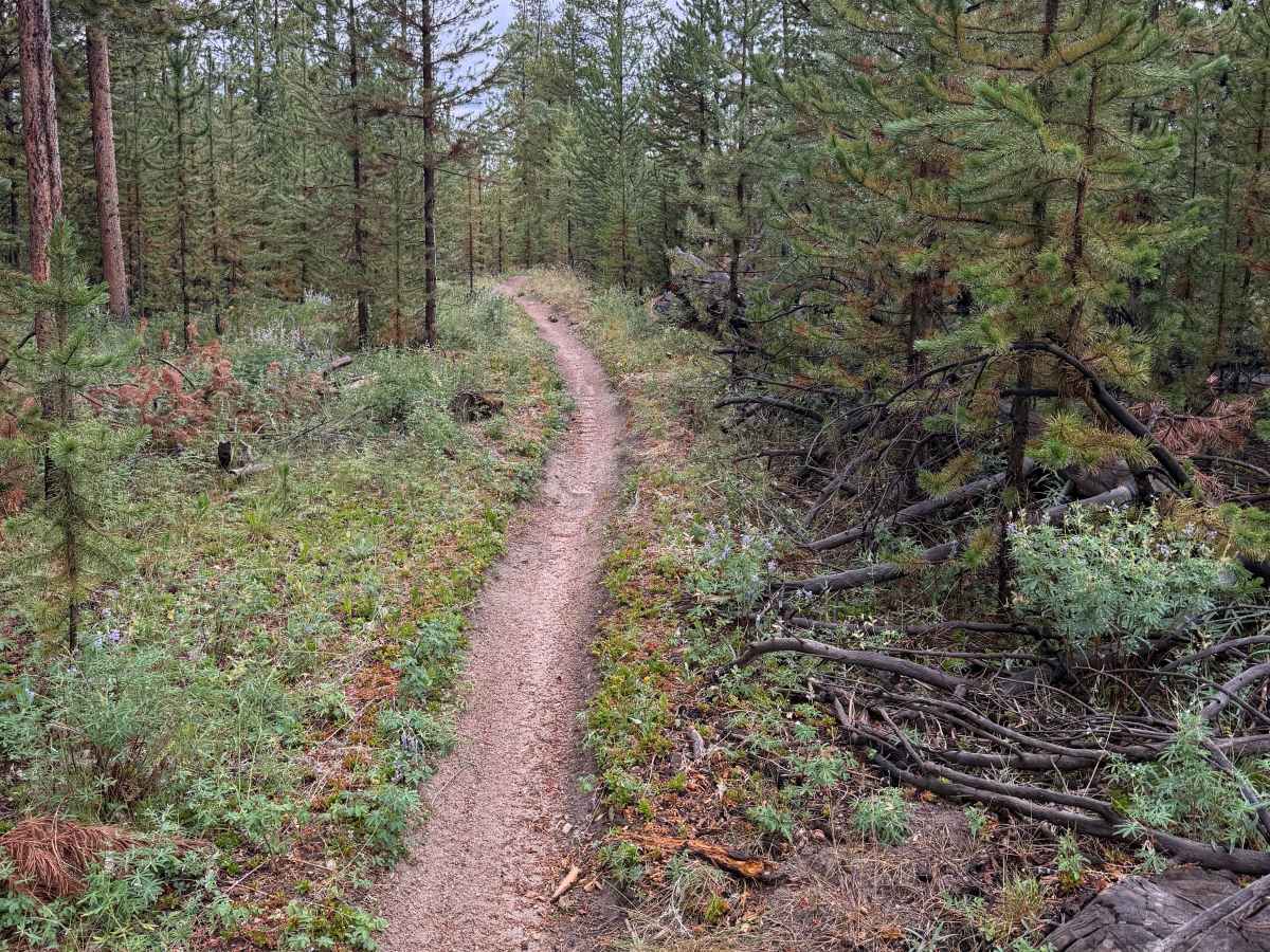 Whiskey Draw Trail photo 3