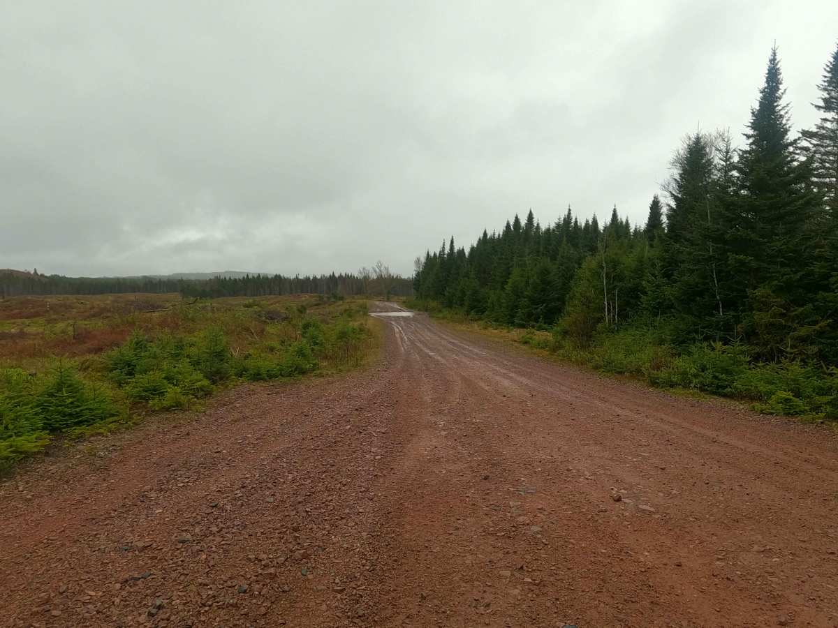 Upper Belmont Road photo 6