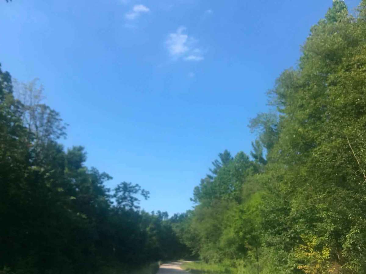 Town Highway 319 photo 5