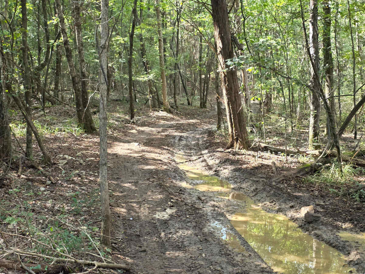 Homestead photo 3