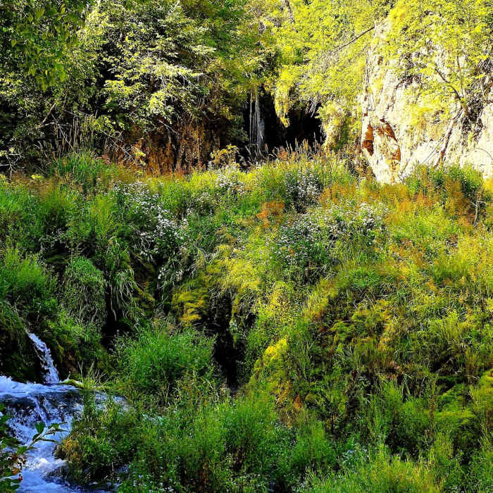 Near Roughlock Falls Trail
