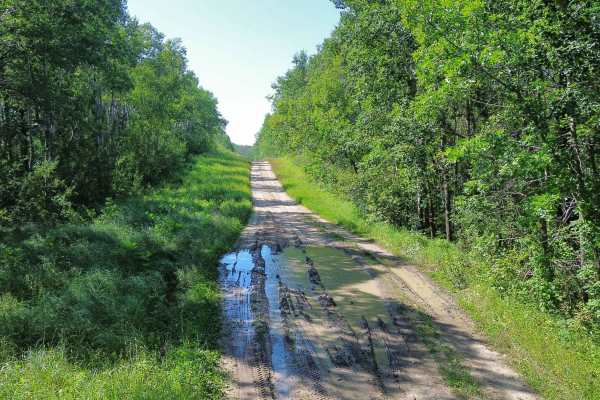 Centre Road - Moose Mountain Provincial Park