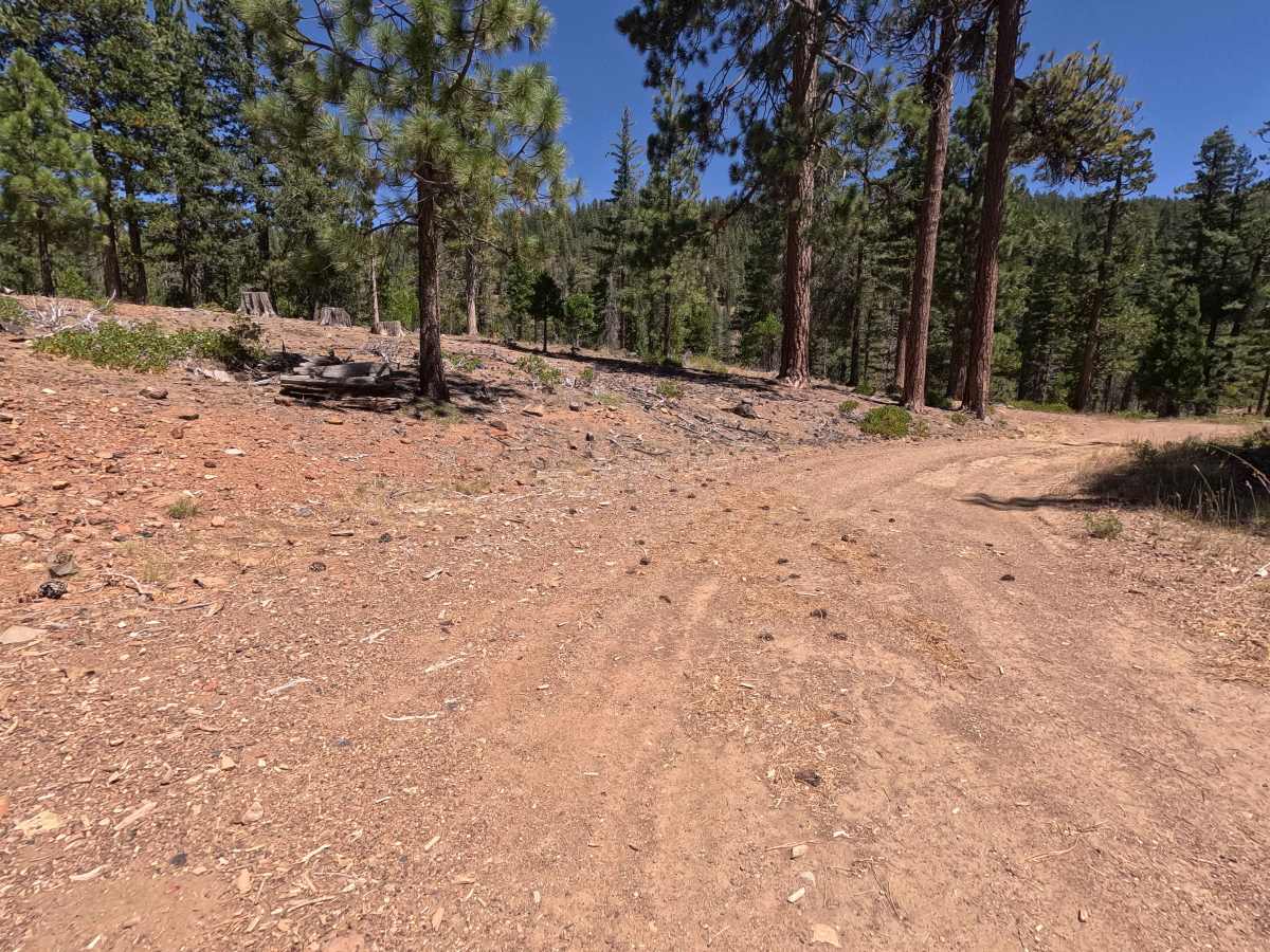 East Cabin Meadow Spur A - FS 41N04A photo 3