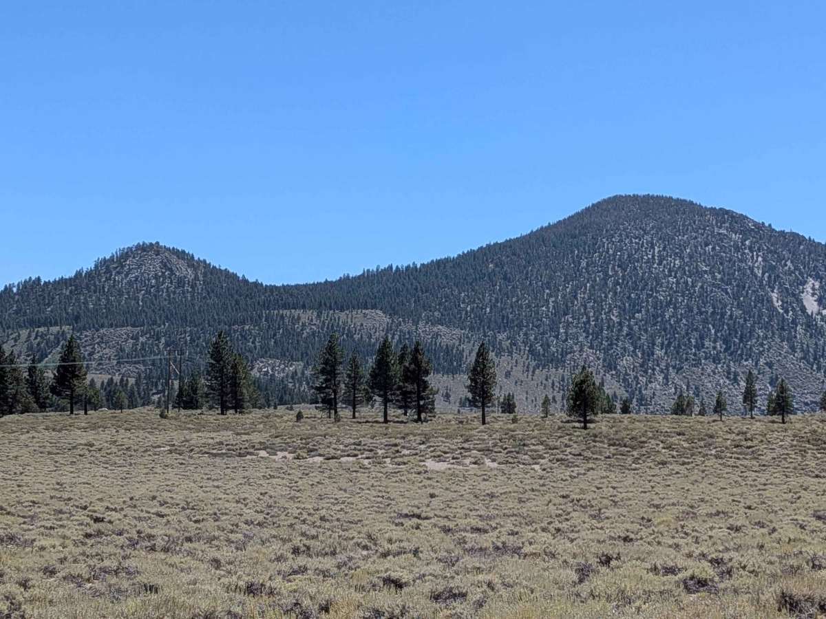 June Lake Shortcut - FS 1S32 photo 5