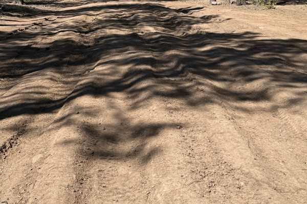 Pinedale Rim - FS 130
