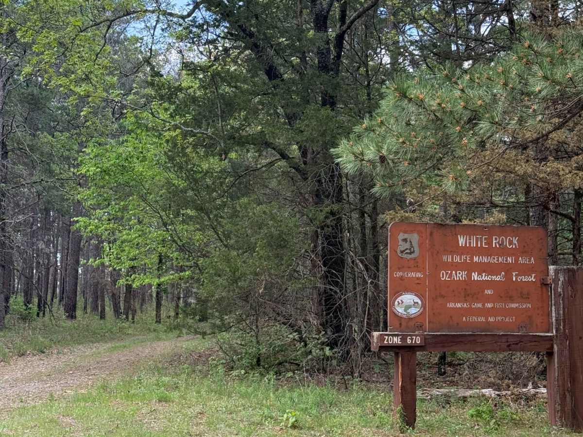 Hillside Holler trail photo