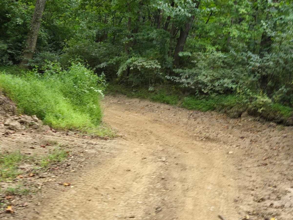 Trail 45 photo 4