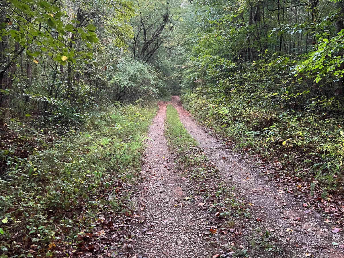 Turkey Creek - FS 212B photo 6