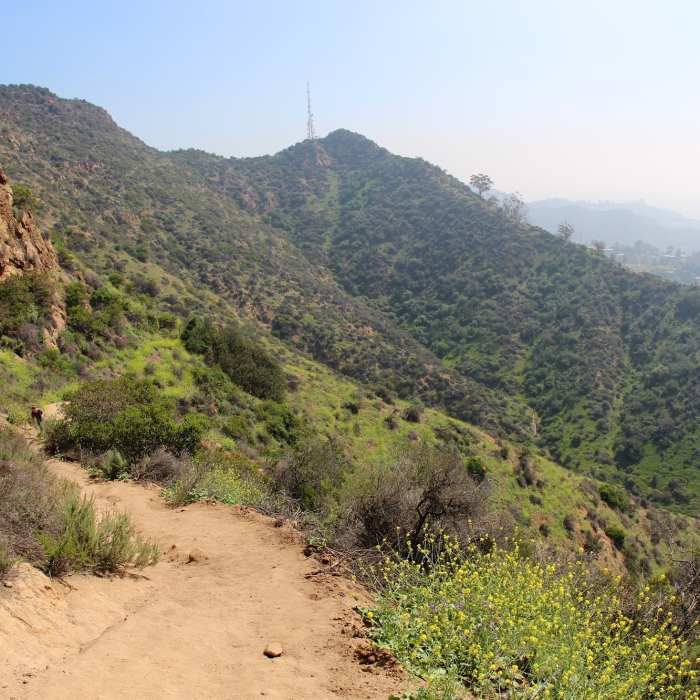 Near Tree of Life Trail