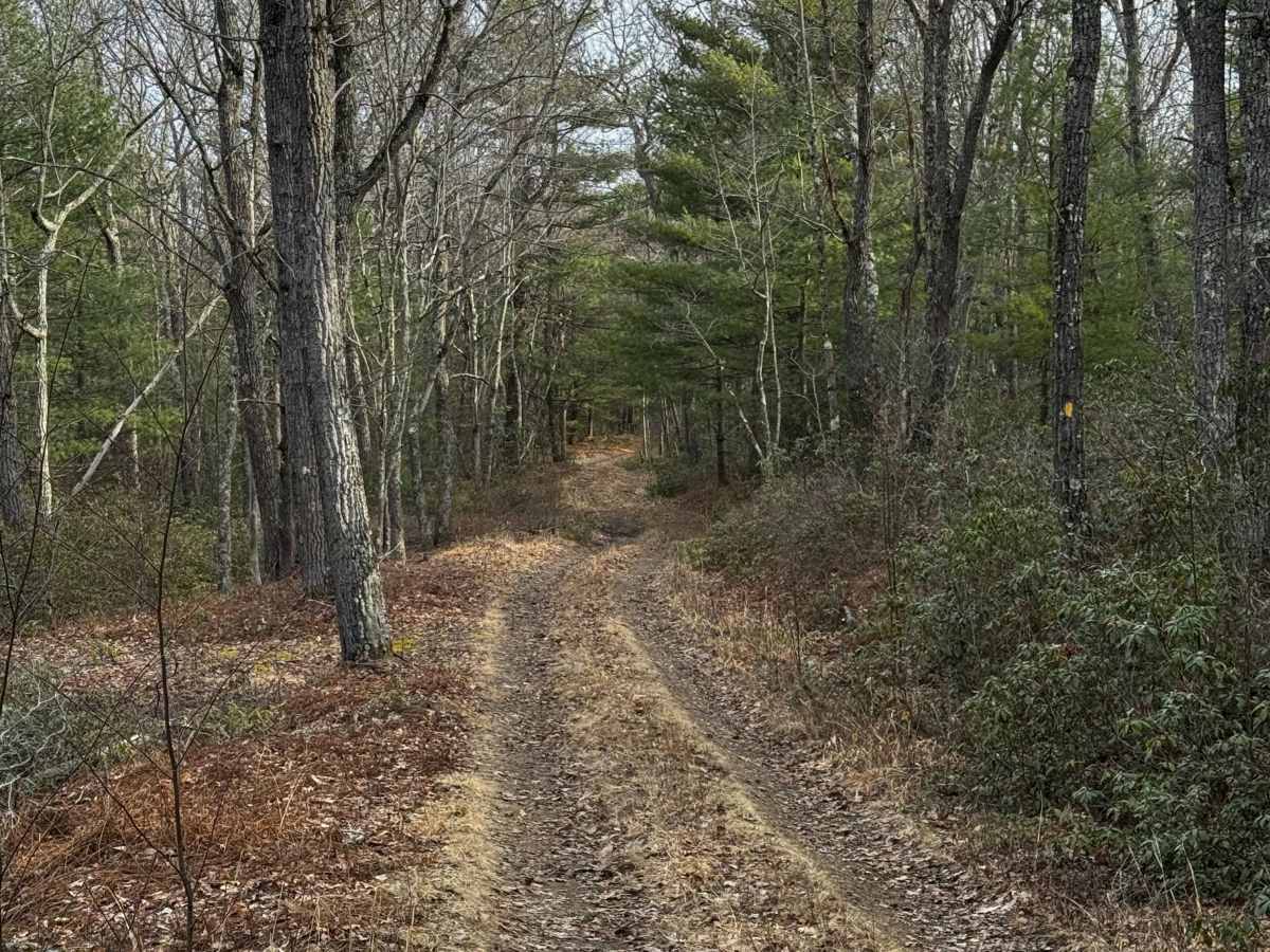 Remington Trail photo 6