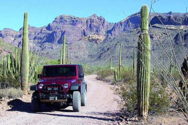 Organ Pipe Cactus Nat. Monument
