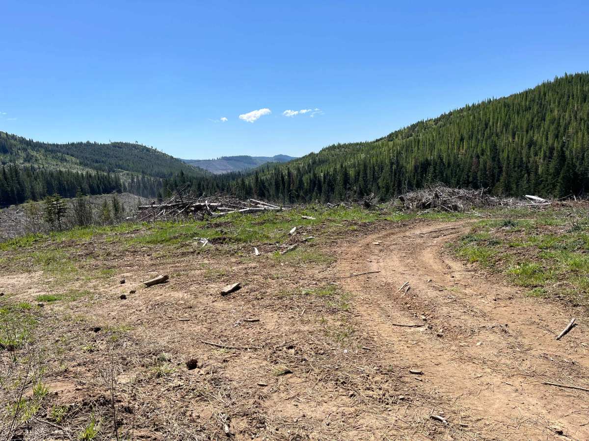 FS 3940 Cutoff Trail photo 2