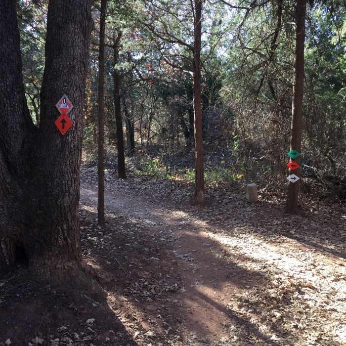 Near Orange Loop