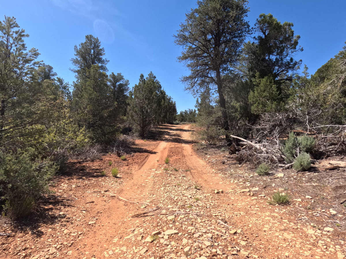 BLM 72D photo 4