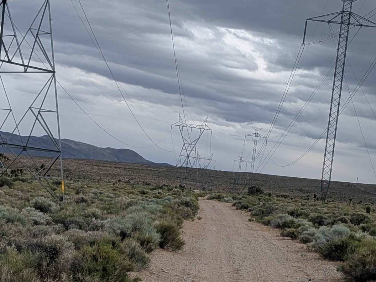 BLM SE740 photo 5