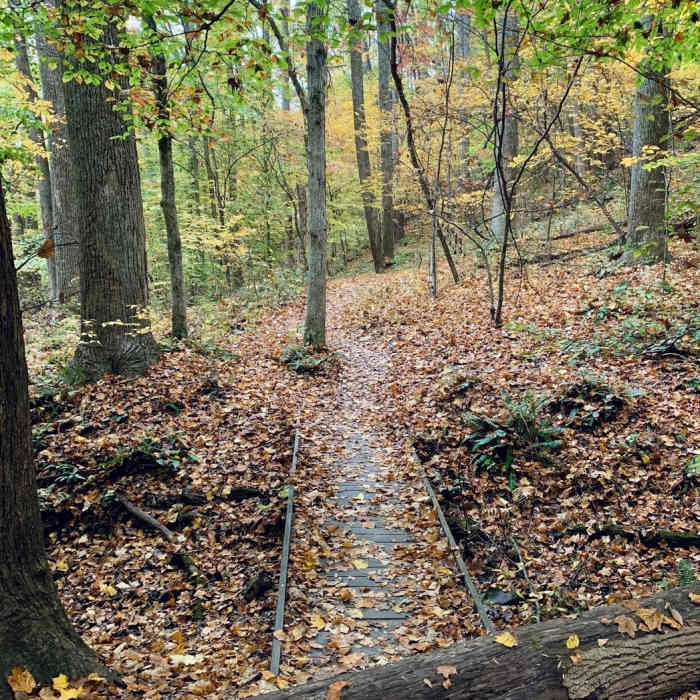 Near Red Trail