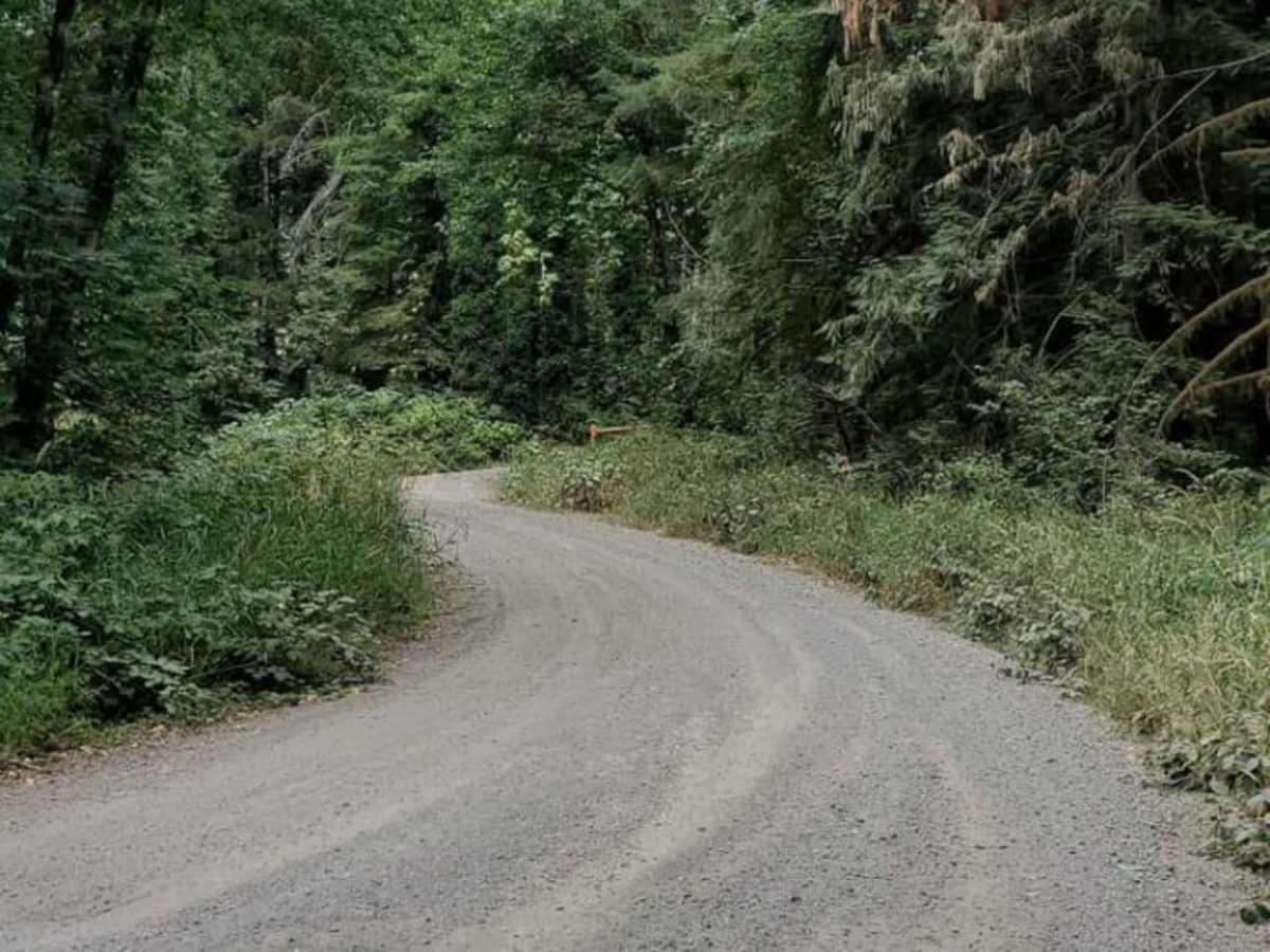 Bridge Brook Drive trail photo