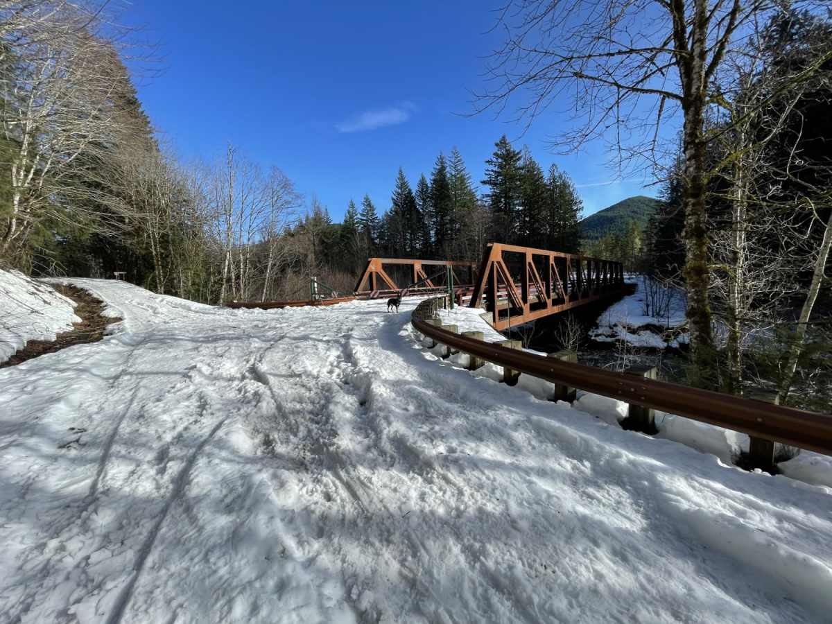 Muddy Fork Road photo 4