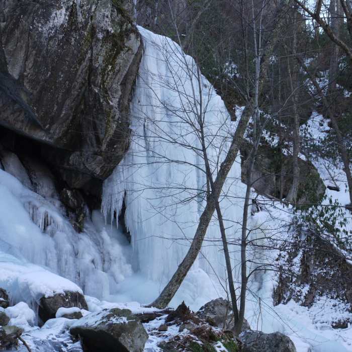 Near Apple Orchard Falls - Cornelius Creek