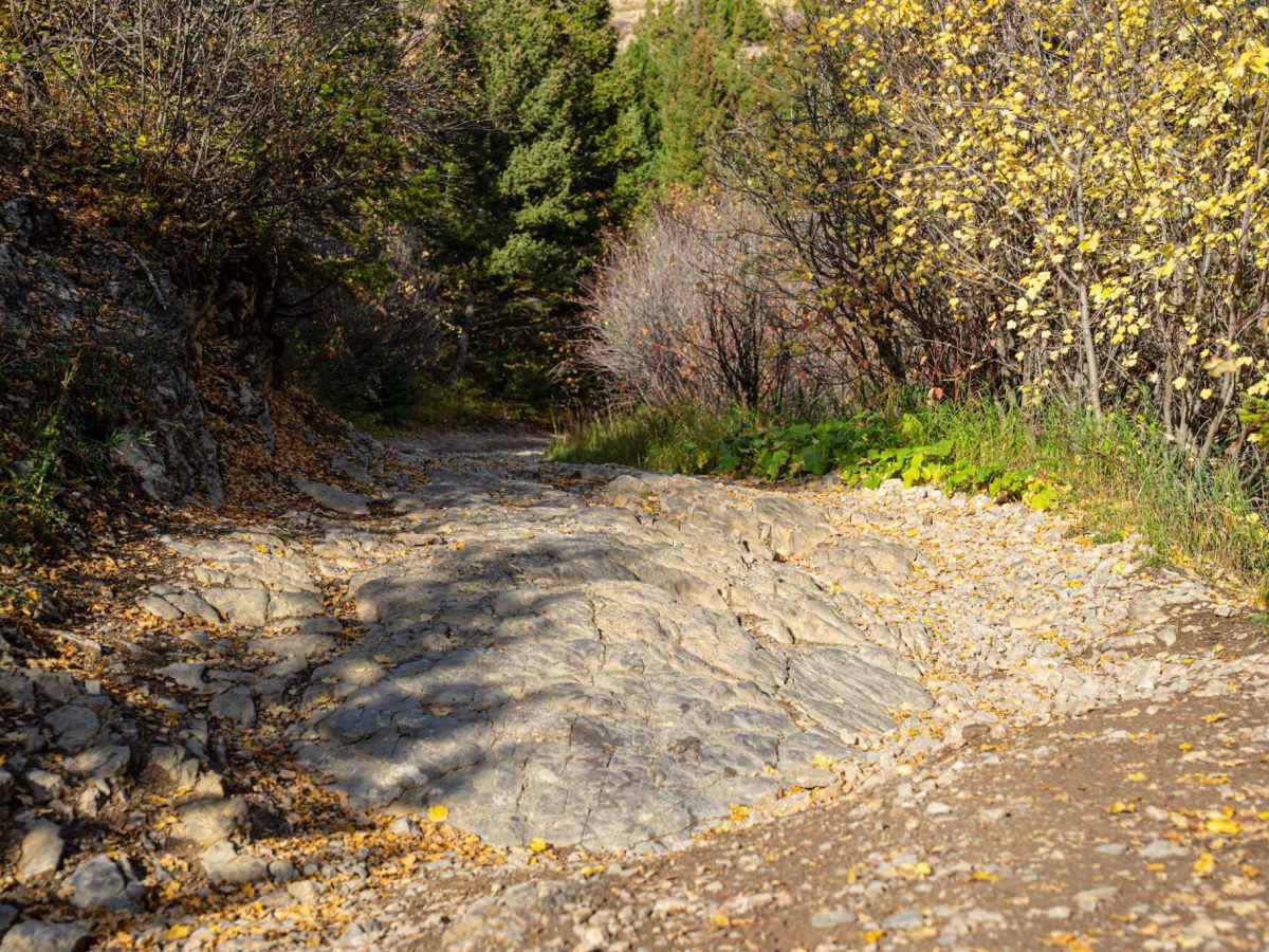 Flathead Pass photo 5
