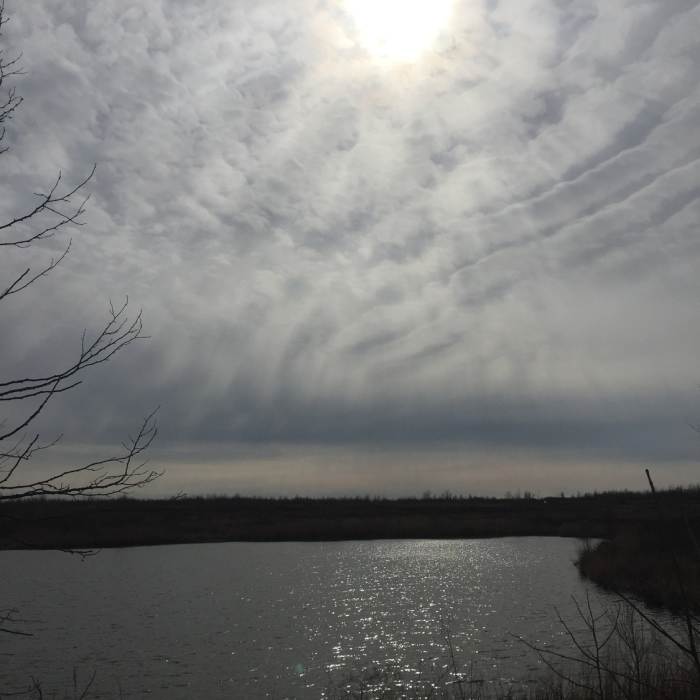 Near Indian Hill Trail